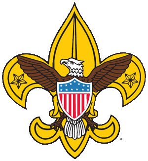 BSA logo